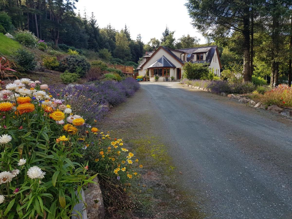 Forest View Woodland Lodge Ballard Exterior photo